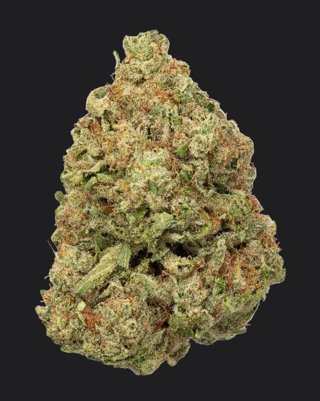 Sin Mint Cookies Living Soil - THCa 27.998% - Indica