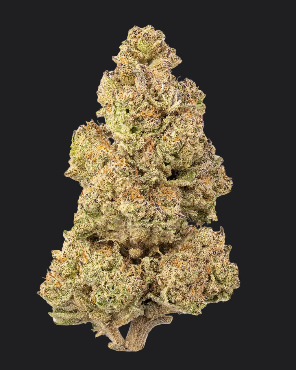 28g Zhitz Fire Living Soil - THCa 28.611% - Sativa