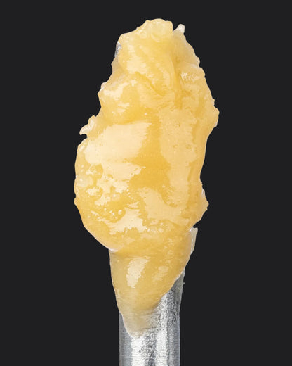 King Louis XIII Badder (84.626% THCa)