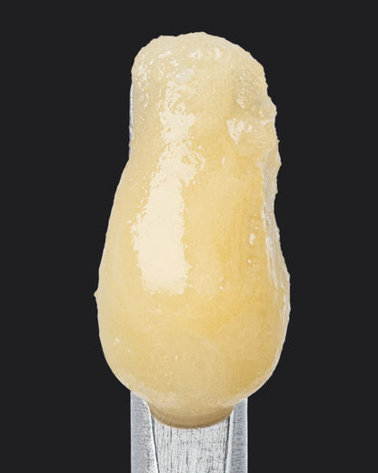 Lemon Drop Badder (86.101% THCa)