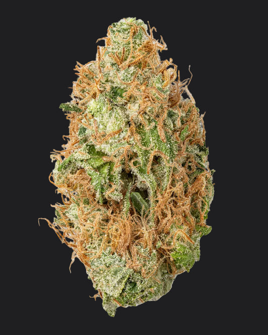 Acapulco Gold Living Soil - THCa 29.980% - Sativa