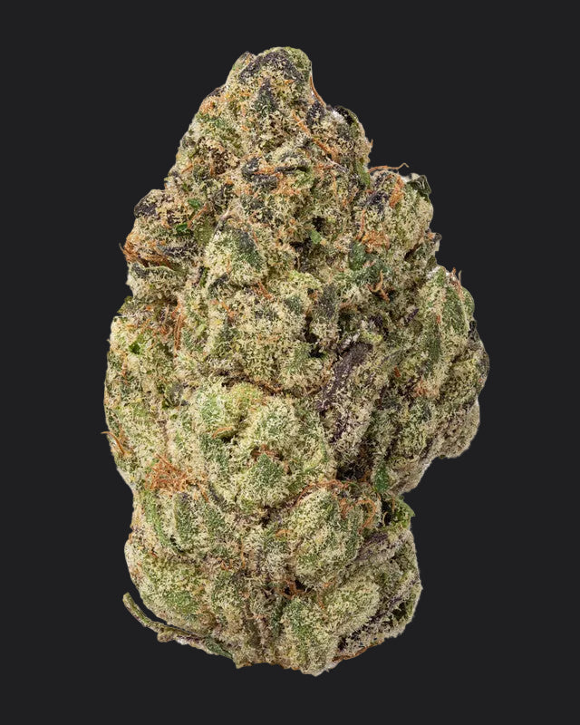28g Obama Runtz Living Soil - THCa 28.958% : Terpenes 0.587% - Indica